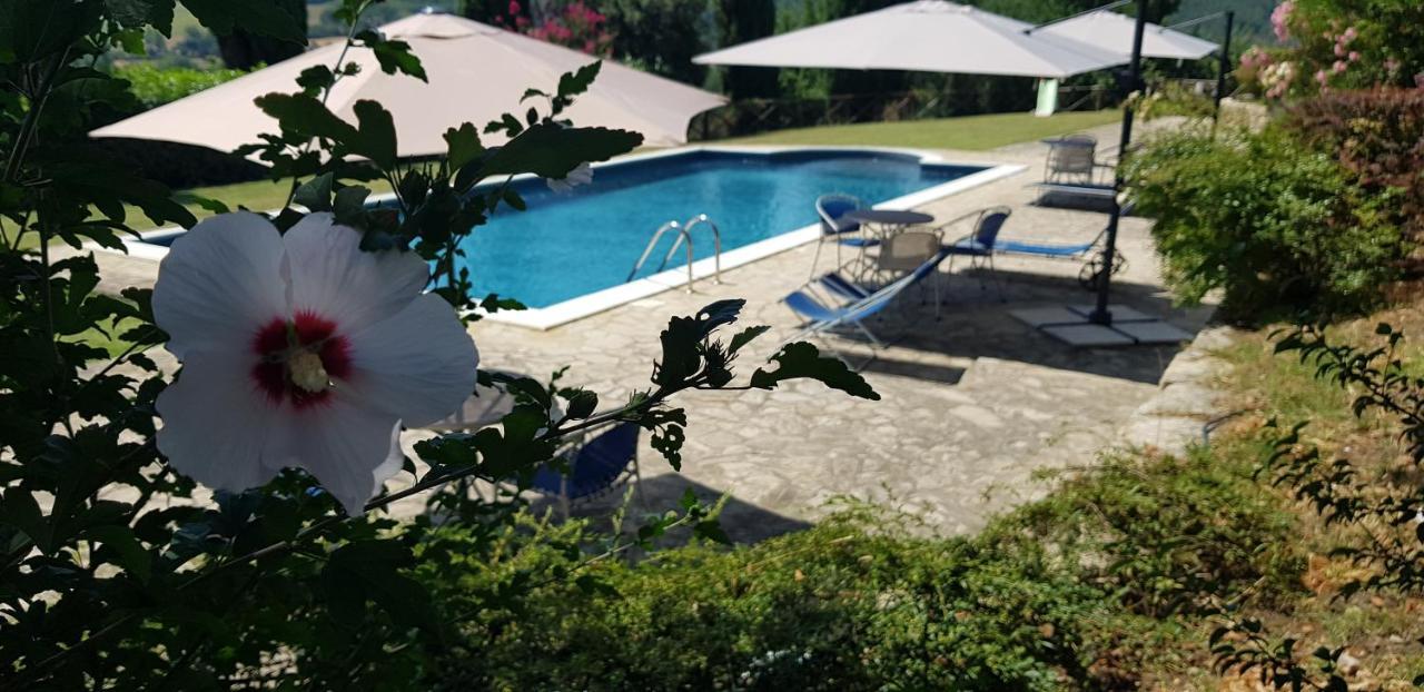 Case In Campagna Con Piscina A Todi Exterior photo